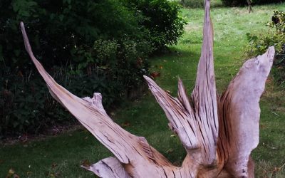 Wood Carving Workshop