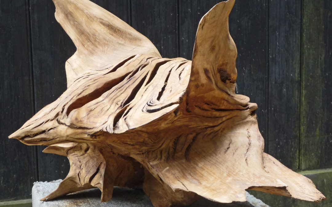 Introduction to Sculpting in Wood