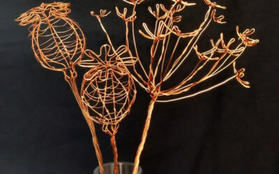 Drawing Seedheads with Wire
